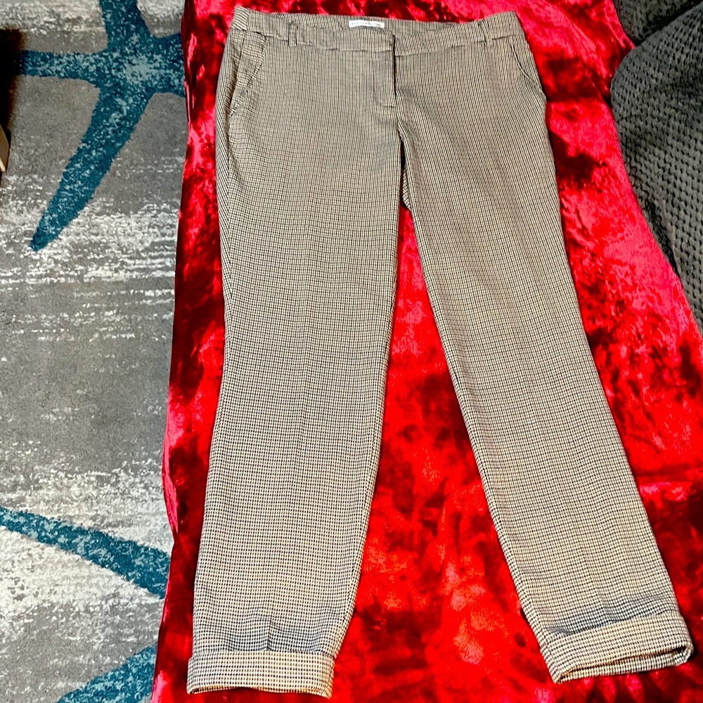 Suit Pants Dalia Collection Size 8